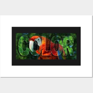 Color Posters and Art